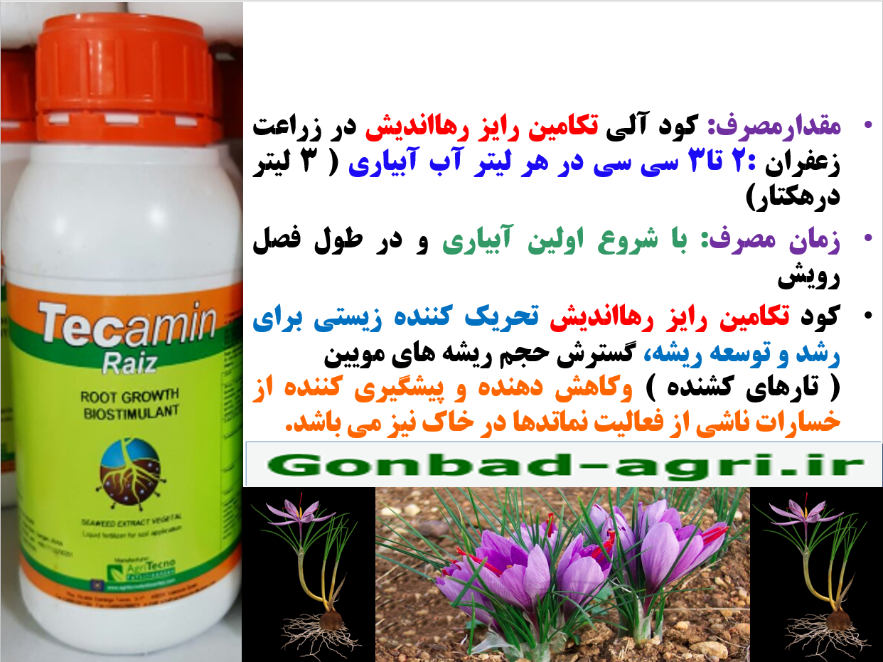 کود آلی تکامین رایز رهااندیش برای تقویت گلدهی بوته های زعفران – قسمت دوم 635