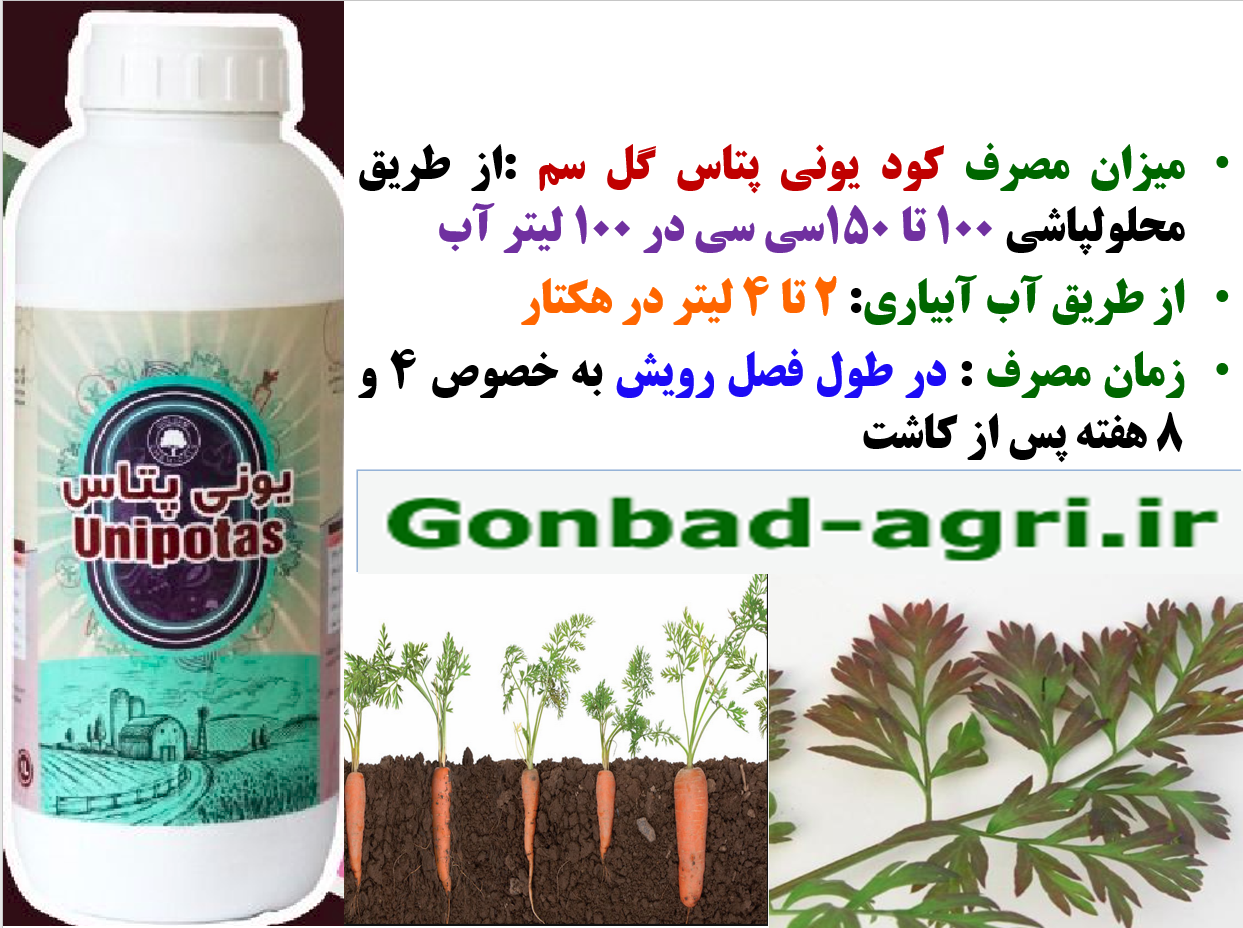 افزایش کیفیت هویج با کود یونی پتاس گل سم – قسمت دوم 620