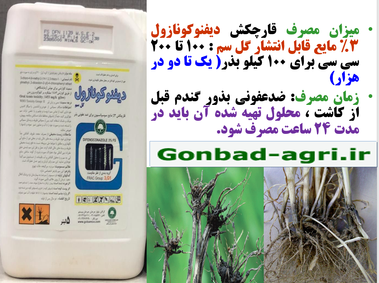 ضدعفونی بذور گندم با قارچکش دیفنوکونازول گل سم -قسمت دوم 605
