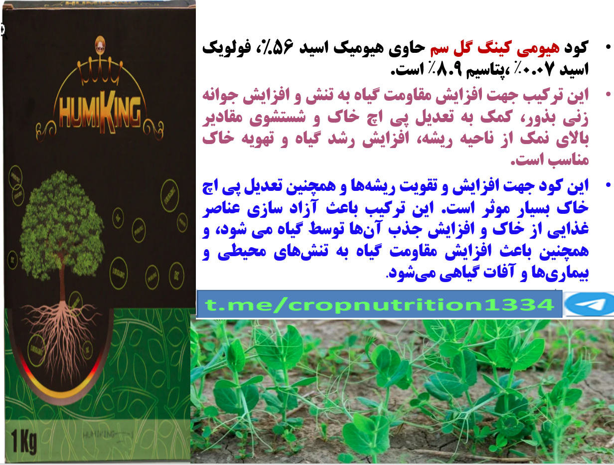 استفاده از هیومی کینگ گل سم در زراعت نخود فرنگی – قسمت سوم 607