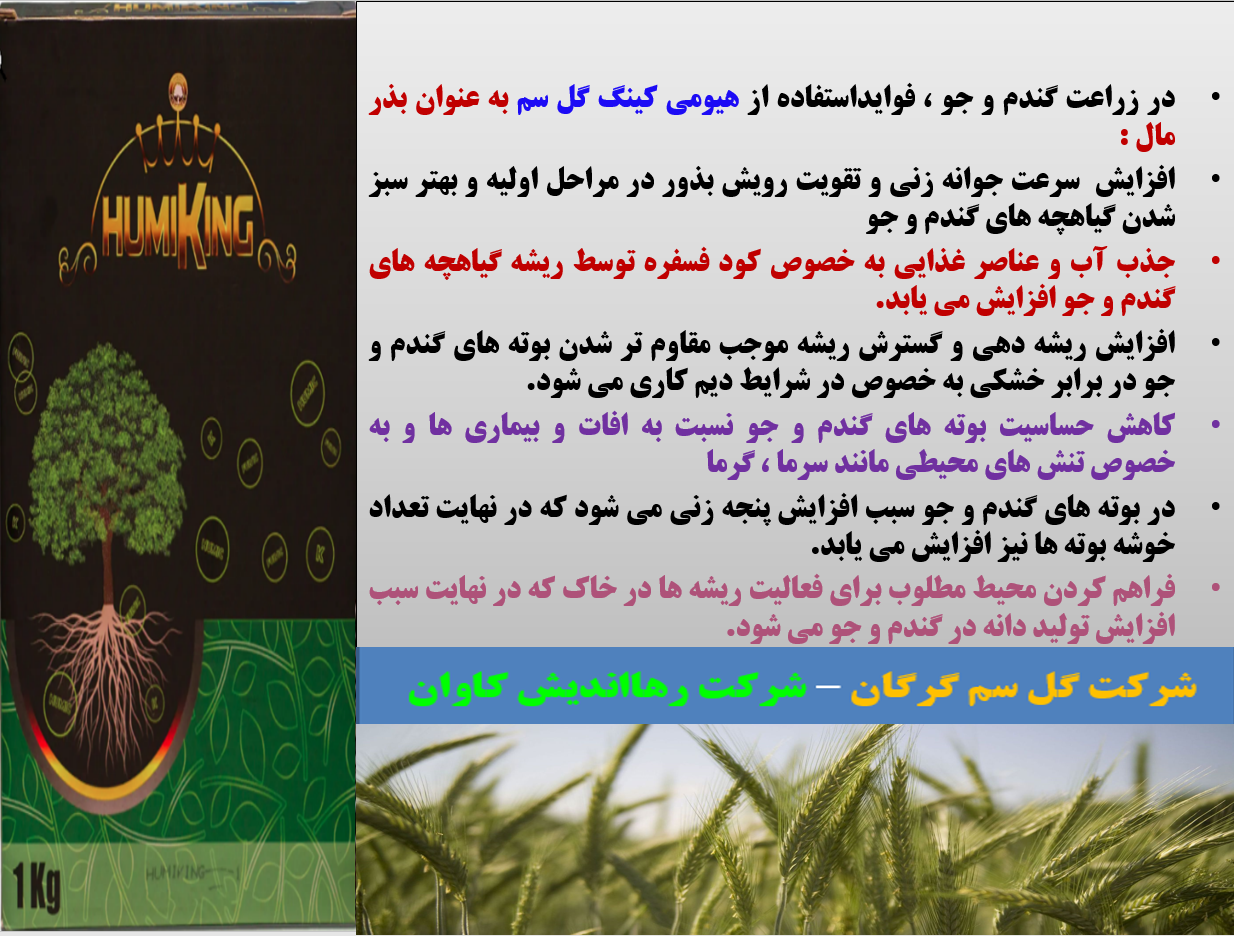مصرف هیومی کینگ گل سم به عنوان بذرمال در زراعت گندم و جو- قسمت اول 603