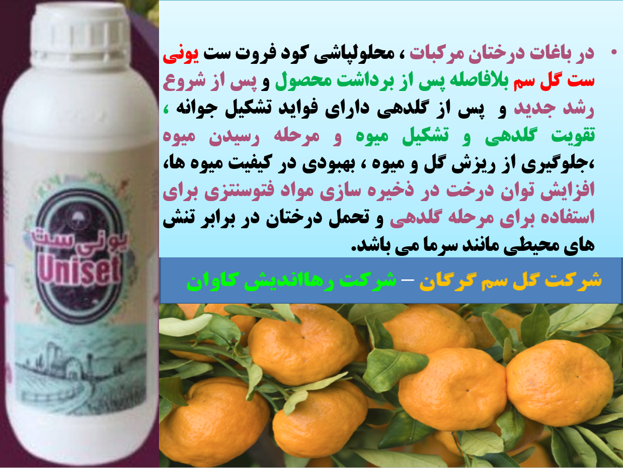 کود یونی ست گل سم به عنوان کود فروت ست درختان مرکبات - قسمت اول 618