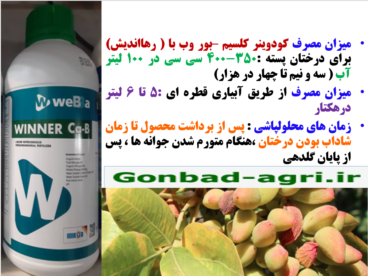 کود وین نر کلسیم و بر رهااندیش برای درختان پسته بعد از برداشت محصول- قسمت دوم 599