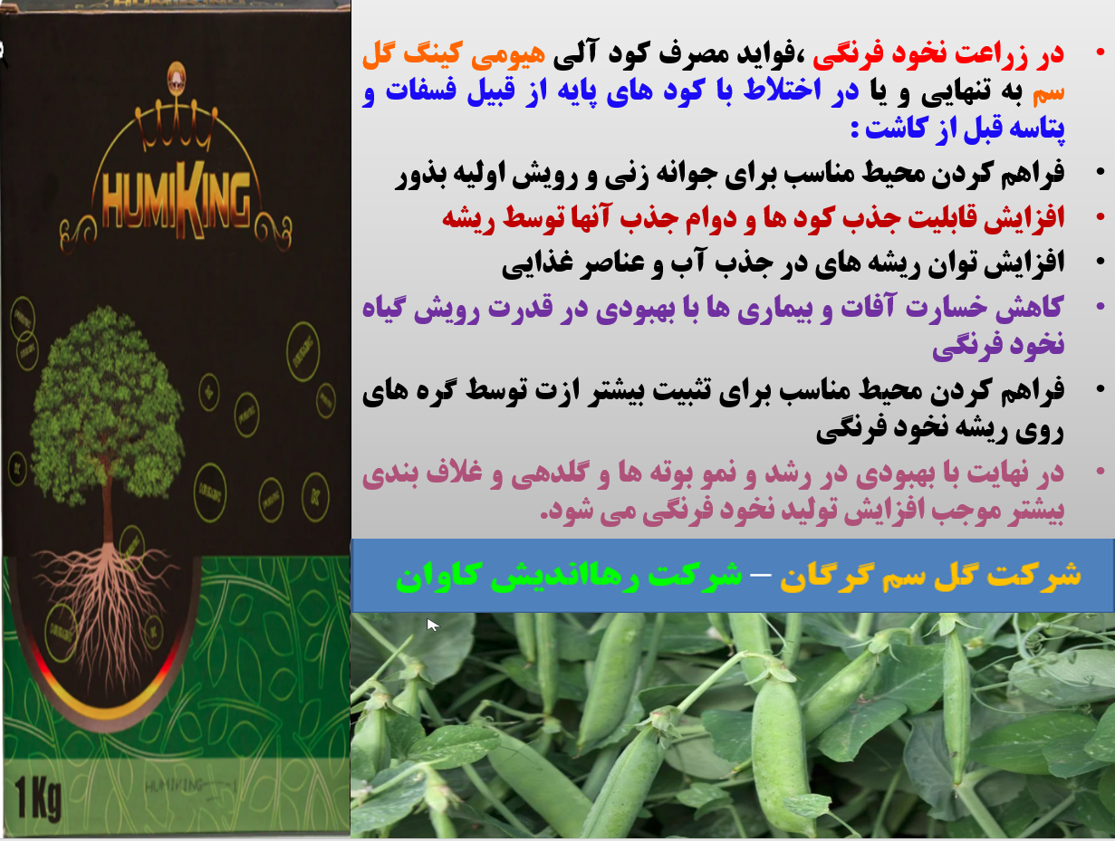 استفاده از هیومی کینگ گل سم در زراعت نخود فرنگی - قسمت اول 609