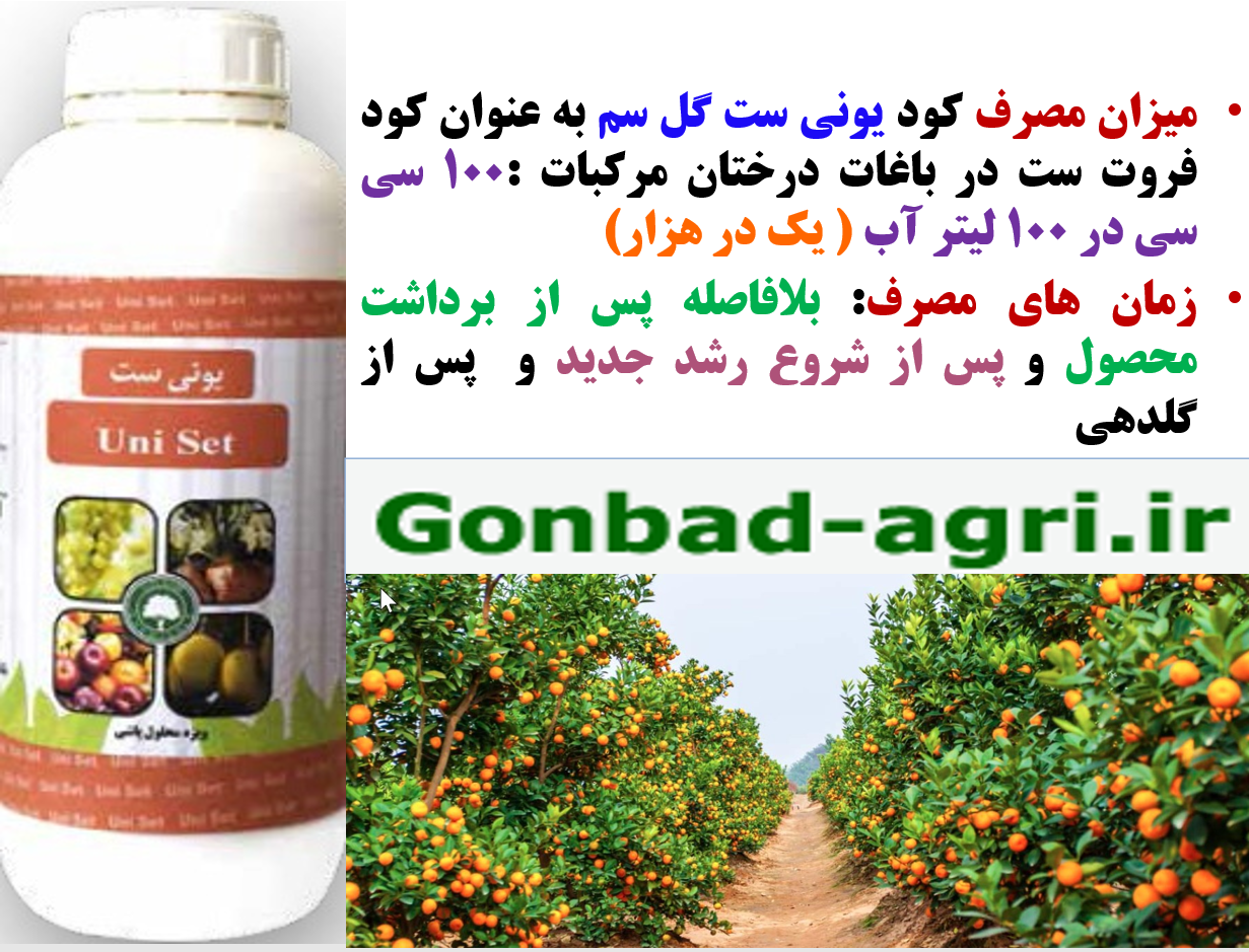 کود یونی ست گل سم به عنوان کود فروت ست درختان مرکبات – قسمت دوم 617