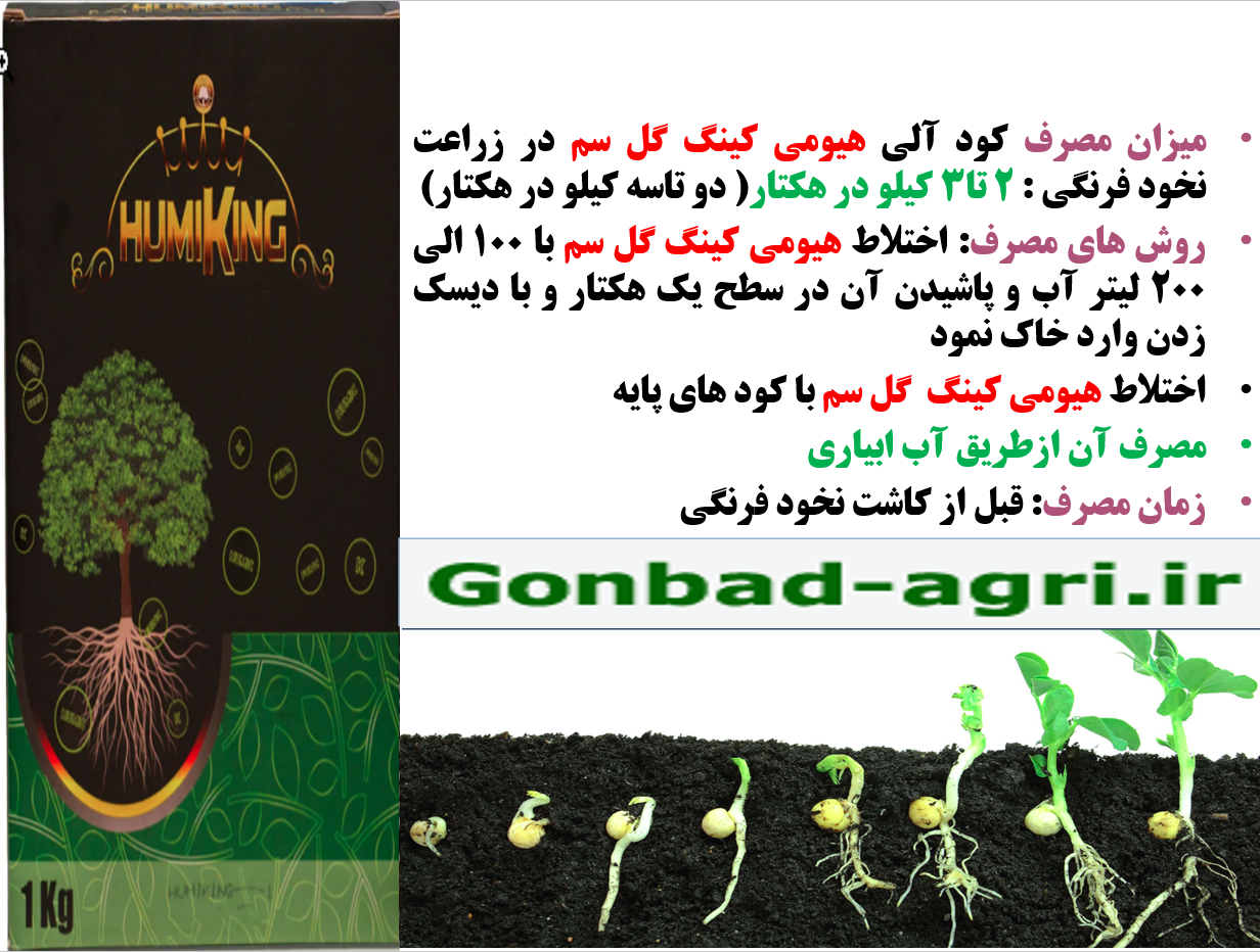 استفاده از هیومی کینگ گل سم در زراعت نخود فرنگی – قسمت دوم 608