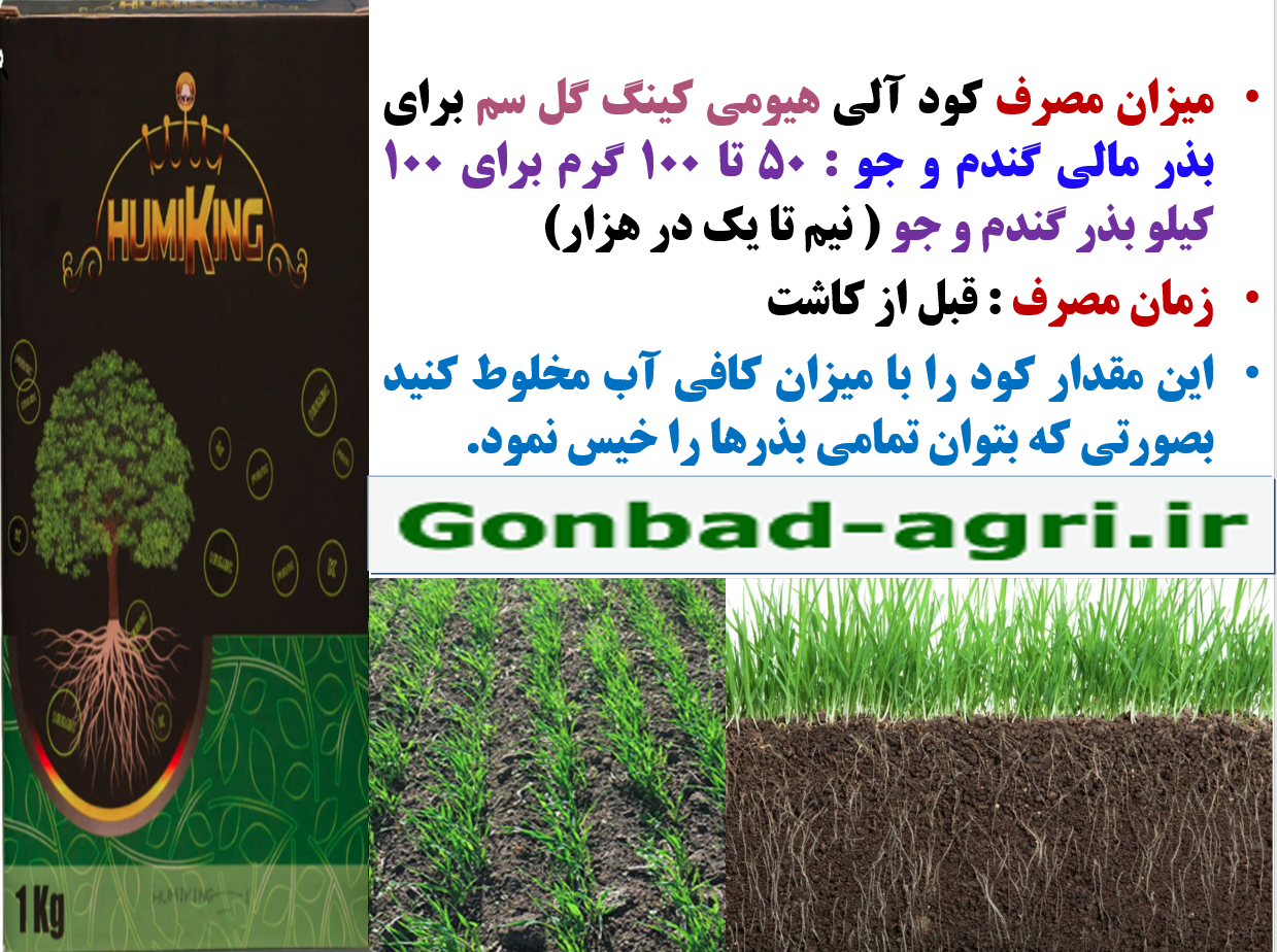 مصرف هیومی کینگ گل سم به عنوان بذرمال در زراعت گندم و جو- قسمت دوم 602