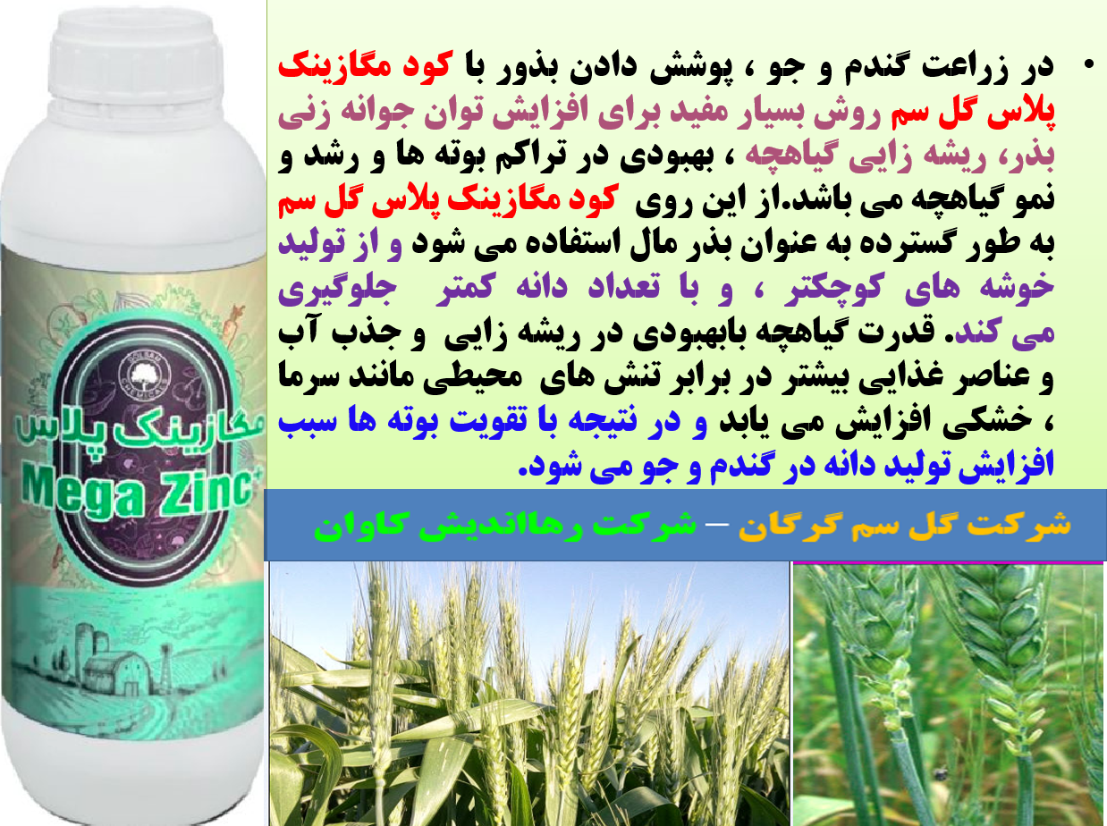 کود روی مگازینک پلاس گل سم برای پوشش دادن بذور گندم و جو-قسمت اول 597