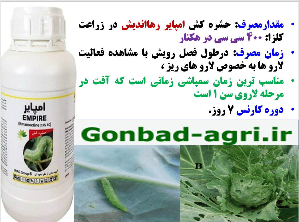 کنترل کرم های برگخوار در زراعت های کلزا و کلم ها – قسمت دوم 575