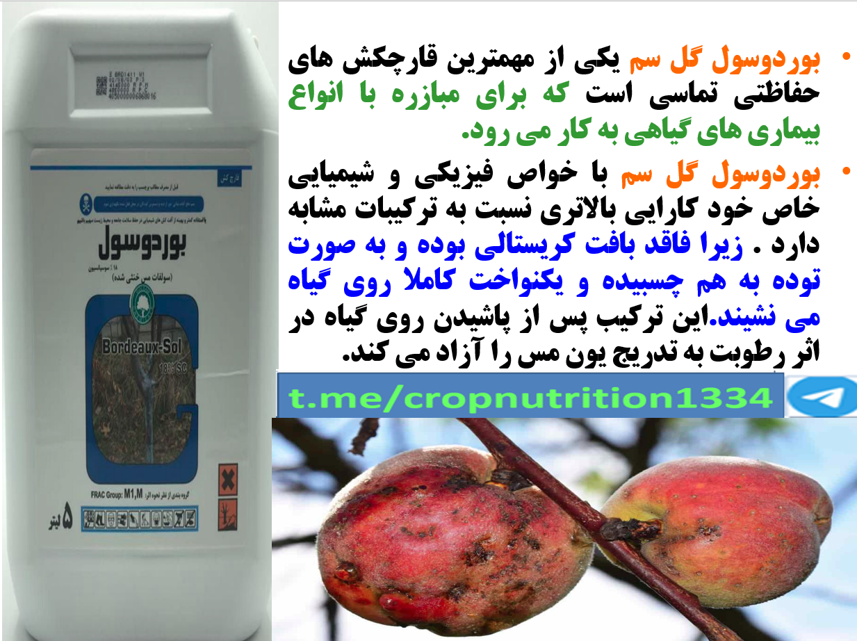 بوردوسول گل سم برای کنتر ل بیماری های باکتریایی و قارچی درختان میوه هلو و شلیل- قسمت سوم 590