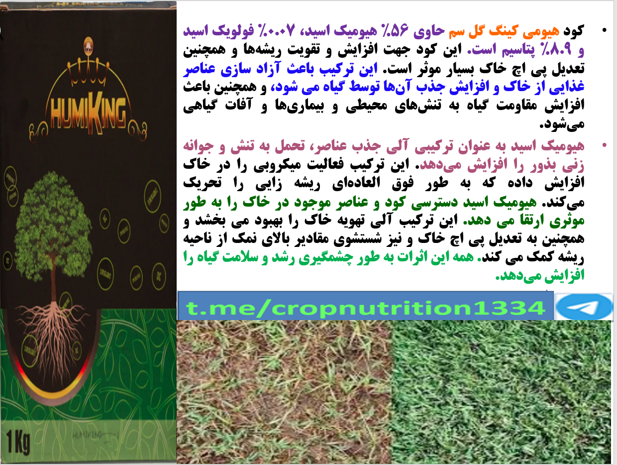افزایش کارایی کود های فسفاته در زراعت گندم و جو -قسمت سوم 583