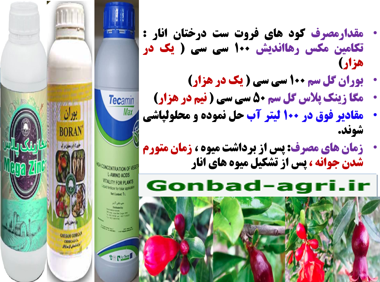ترکیب موثر با کارایی بهتر کود فروت ست برای درختان میوه انار – قسمت دوم 581