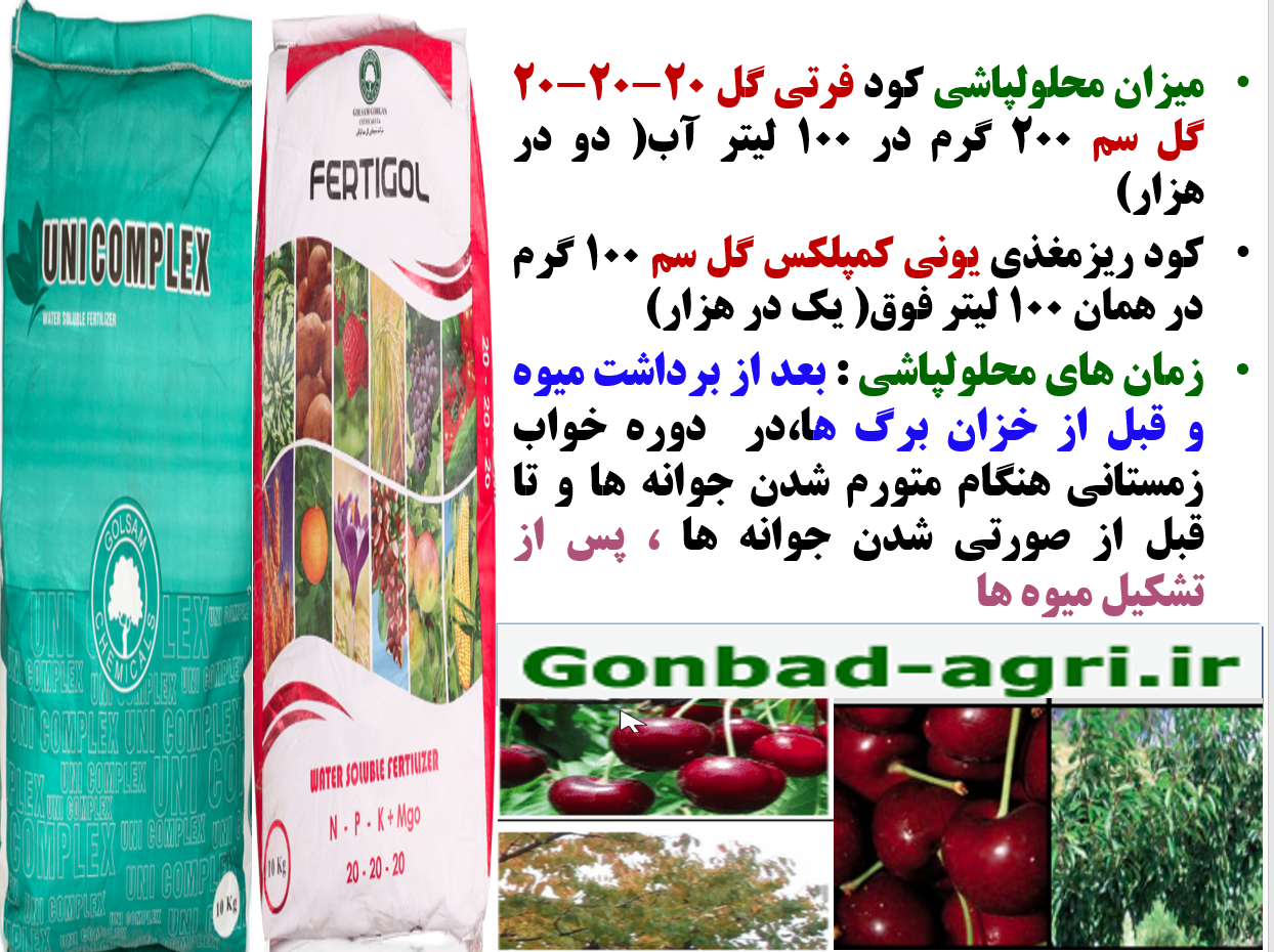 کود کامل فرتی گل و یونی کمپلکس گل سم به عنوان کود فروت سن درختان گیلاس و آلبالو – قسمت دوم 593