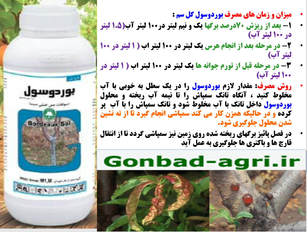 بوردوسول گل سم برای کنتر ل بیماری های باکتریایی و قارچی درختان میوه هلو و شلیل-قسمت دوم 589