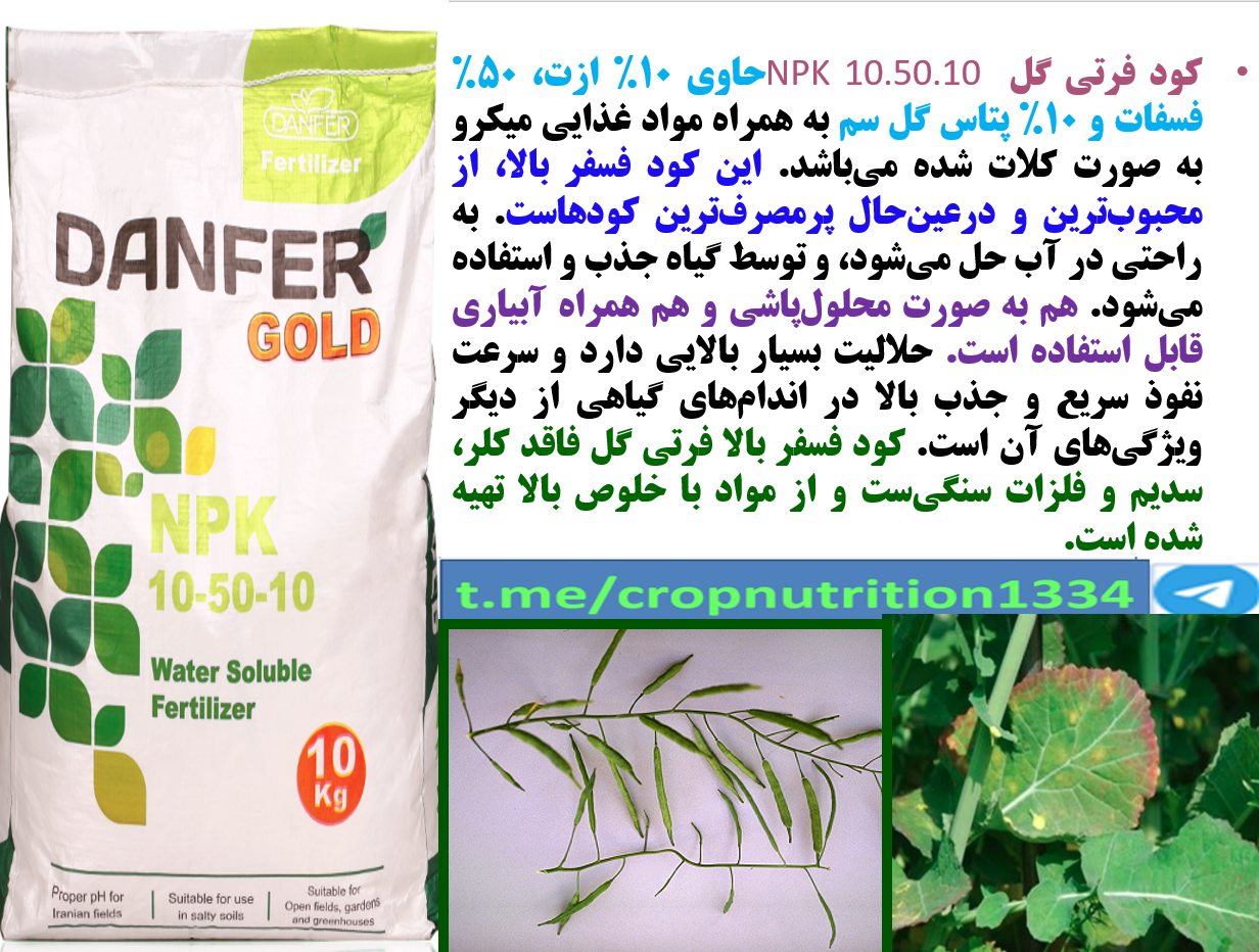 تقویت گیاهچه های کلزا در شرایط نامناسب محیطی – قسمت سوم 586