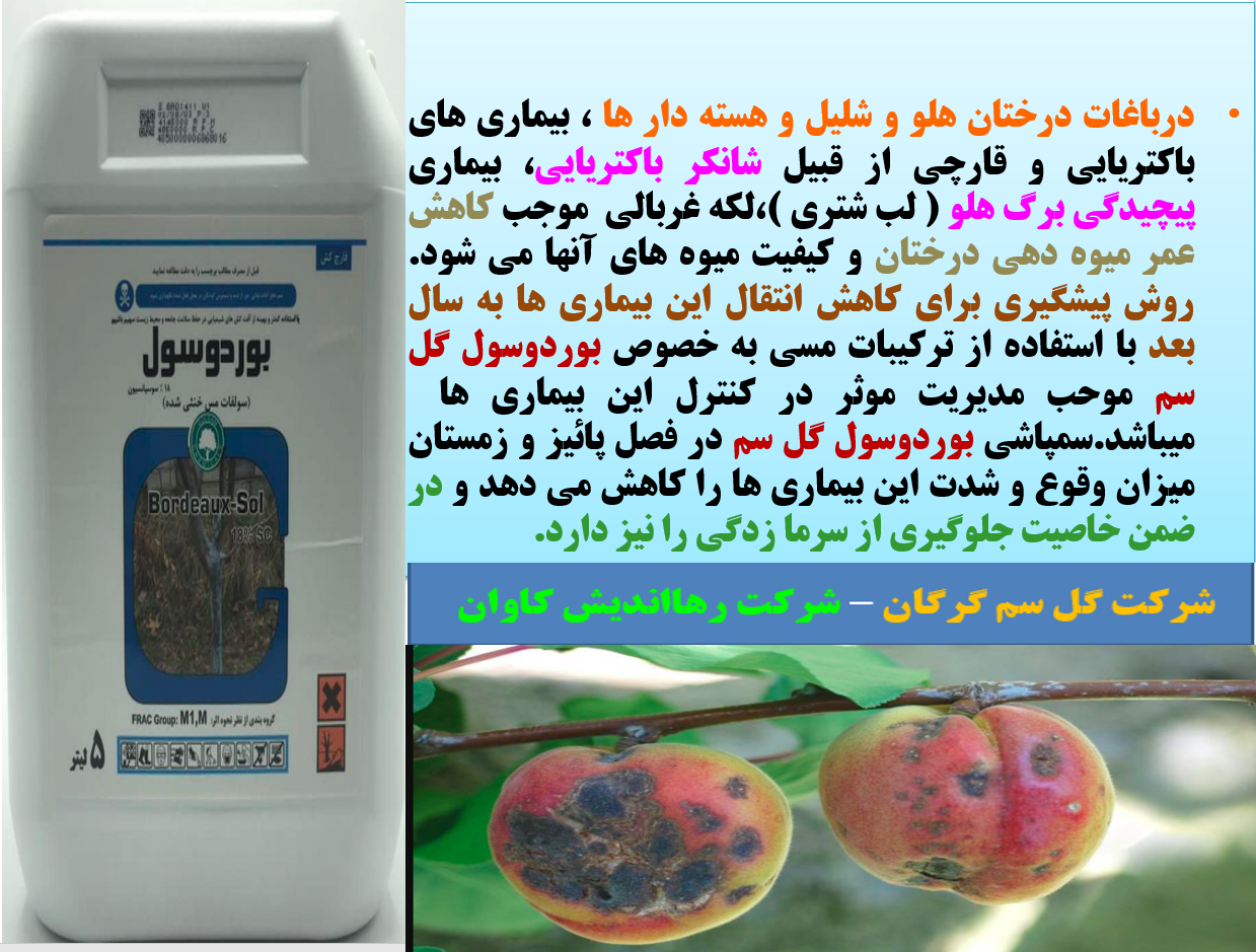 بوردوسول گل سم برای کنتر ل بیماری های باکتریایی و قارچی درختان میوه هلو و شلیل- قسمت اول 591