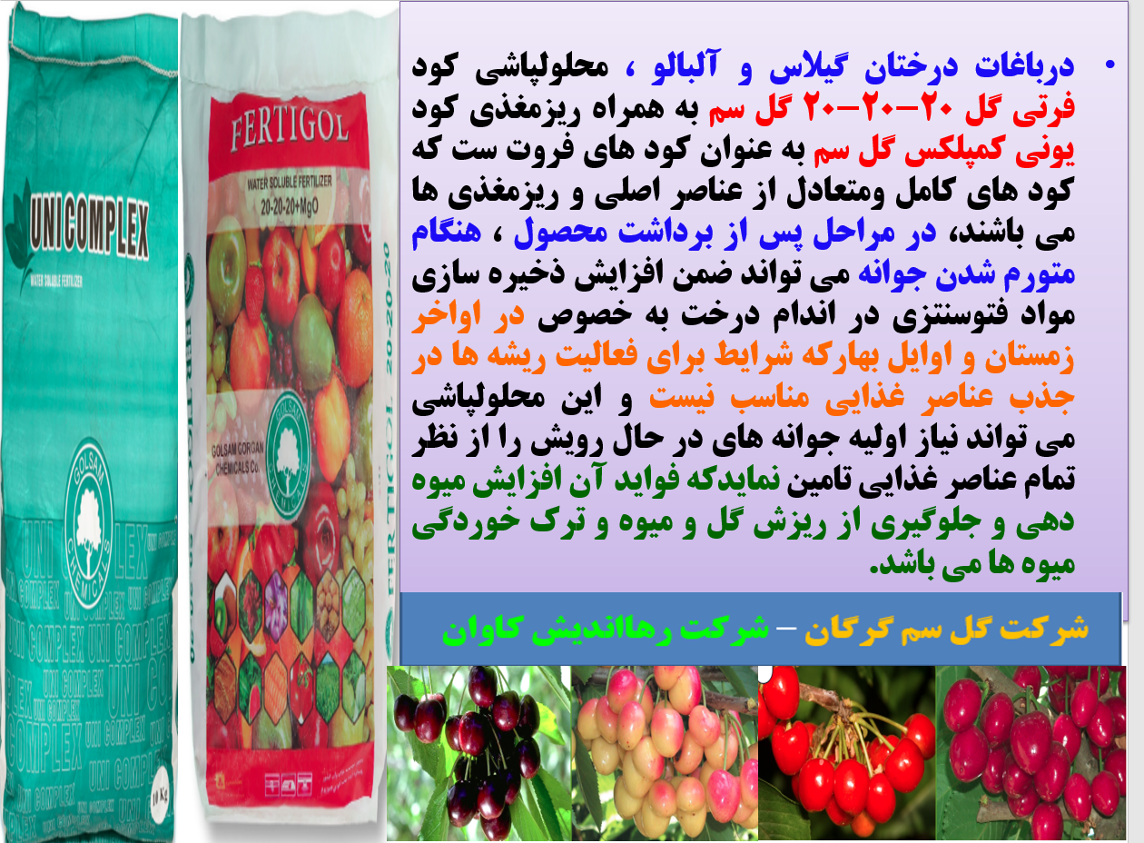 کود کامل فرتی گل و یونی کمپلکس گل سم به عنوان کود فروت سن درختان گیلاس و آلبالو - قسمت اول 594