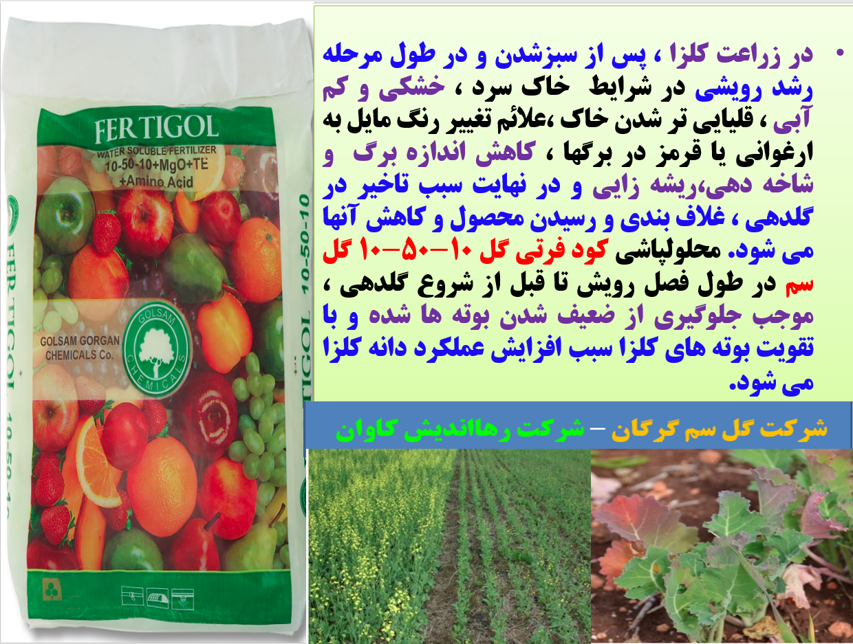 تقویت گیاهچه های کلزا در شرایط نامناسب محیطی - قسمت اول 588