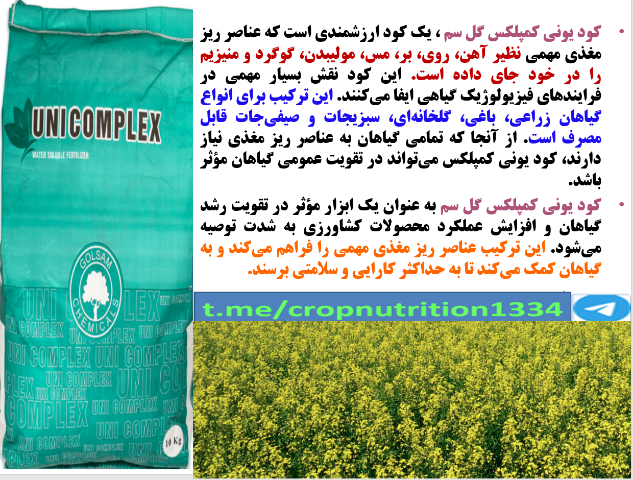 افزایش عملکرد دانه کلزا با کود ریزمغذی یونی کمپلکس گل سم – قسمت سوم 571