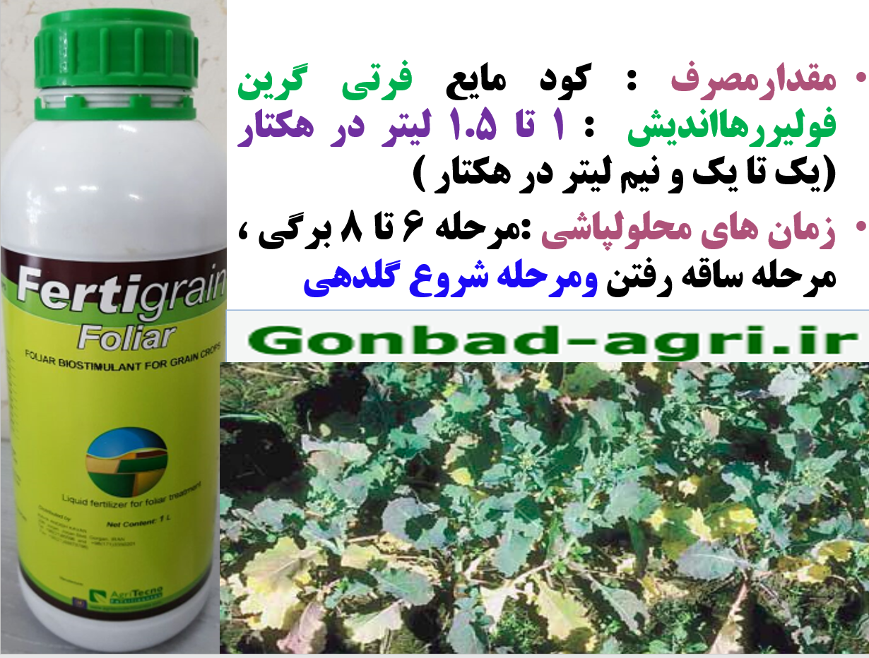 فرتی گرین فولیر رهااندیش کود ازته تکمیلی برای زراعت کلزا – قسمت دوم 554