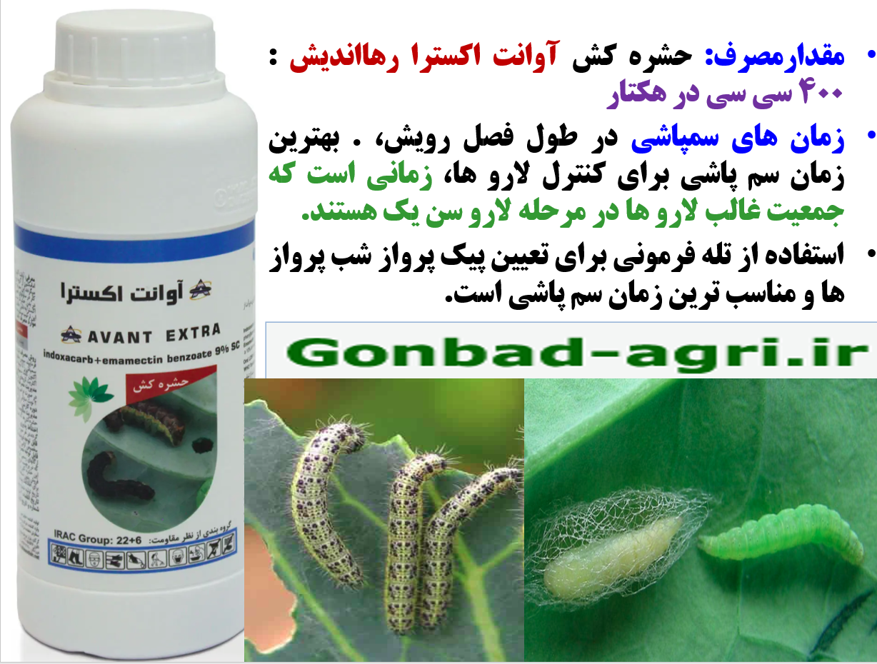 حشره کش آوانت-اکسترا رهااندیش برای کنترل لارو های برگخوار و غلاف خوار کلزا – قسمت دوم 551
