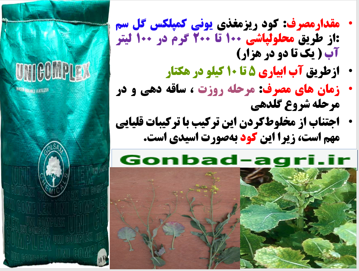 افزایش عملکرد دانه کلزا با کود ریزمغذی یونی کمپلکس گل سم – قسمت دوم 572