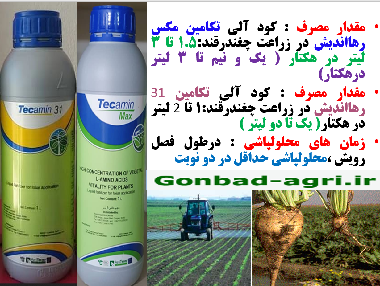 کاربردتکامین مکس یا تکامین ۳۱ برای افزایش تولید و عیار قند در چغندر- قسمت دوم 545