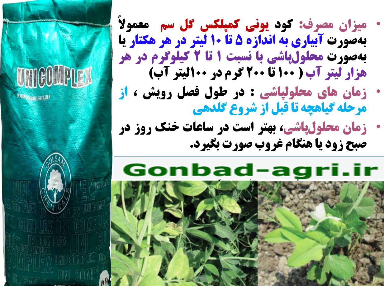 کودریزمغذی یونی کمپلکس گل سم برای افزایش تولید غلاف و دانه نخود فرنگی -قسمت دوم 569