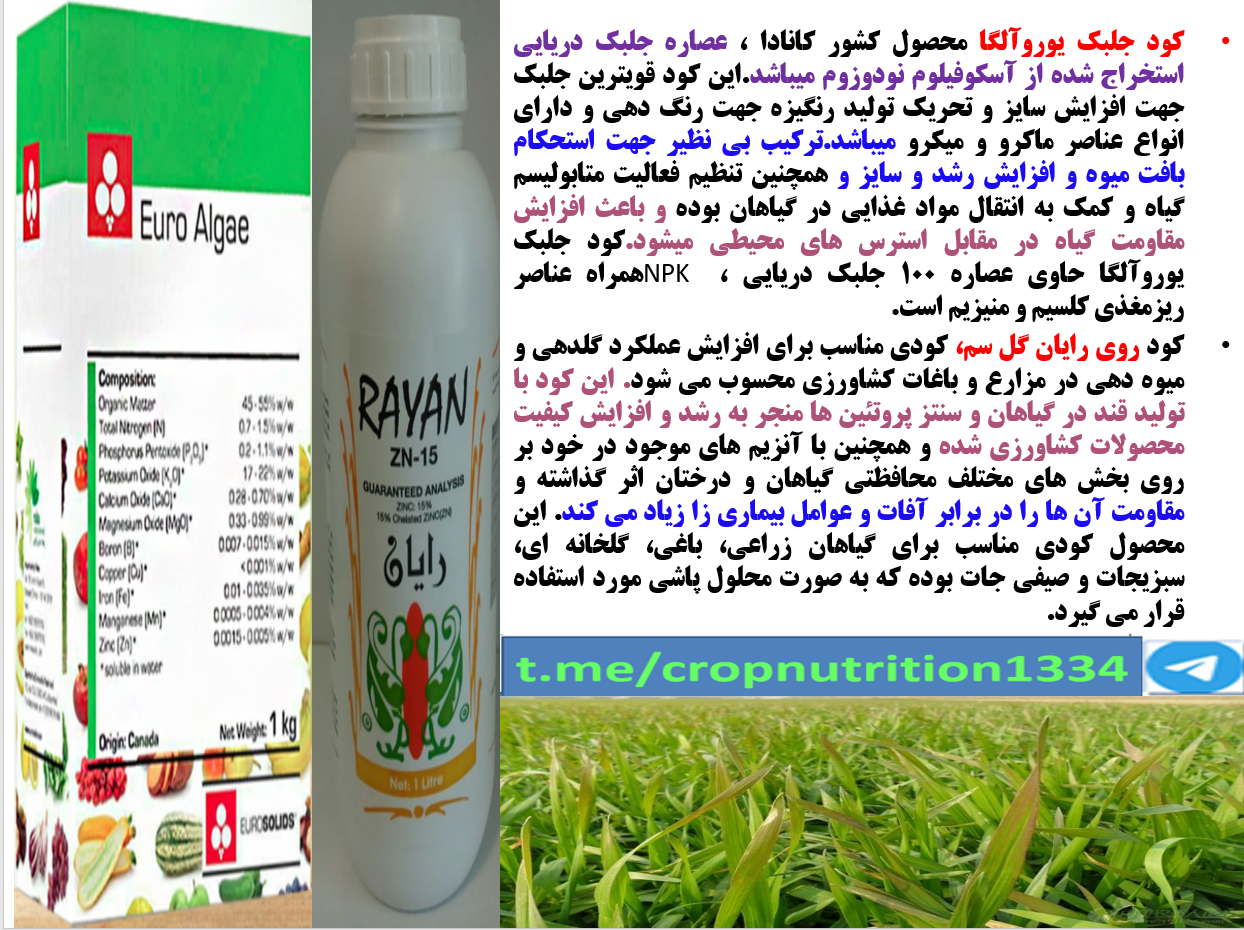 افزایش تولید و مقاومت در بوته های گندم و جو در برابر تنش های محیطی – قسمت سوم 541