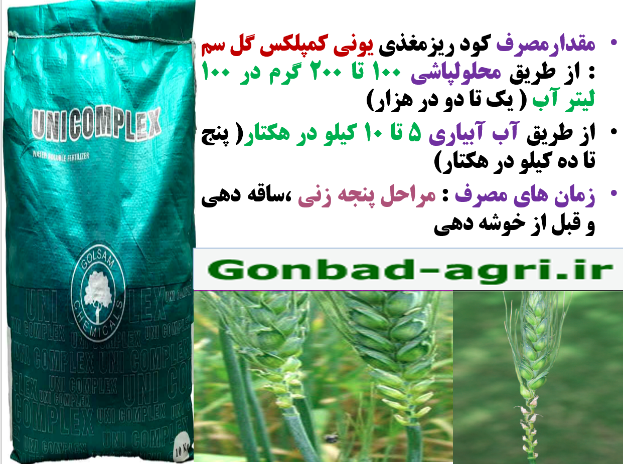 کاربرد موثر کود یونی کمپلکس گل سم در زراعت گندم و جو – قسمت دوم 560
