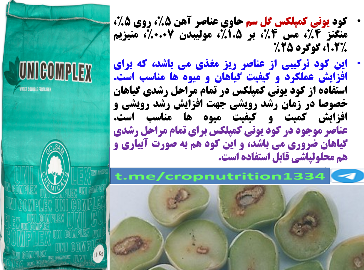 کودریزمغذی یونی کمپلکس گل سم برای افزایش تولید غلاف و دانه نخود فرنگی -قسمت سوم 568