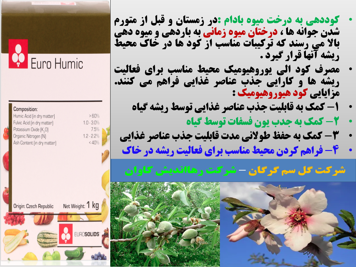 اهمیت مصرف کود الی یوروهیومیک رهااندیش در شروع رشد جدید درخت بادام - قسمت اول 531