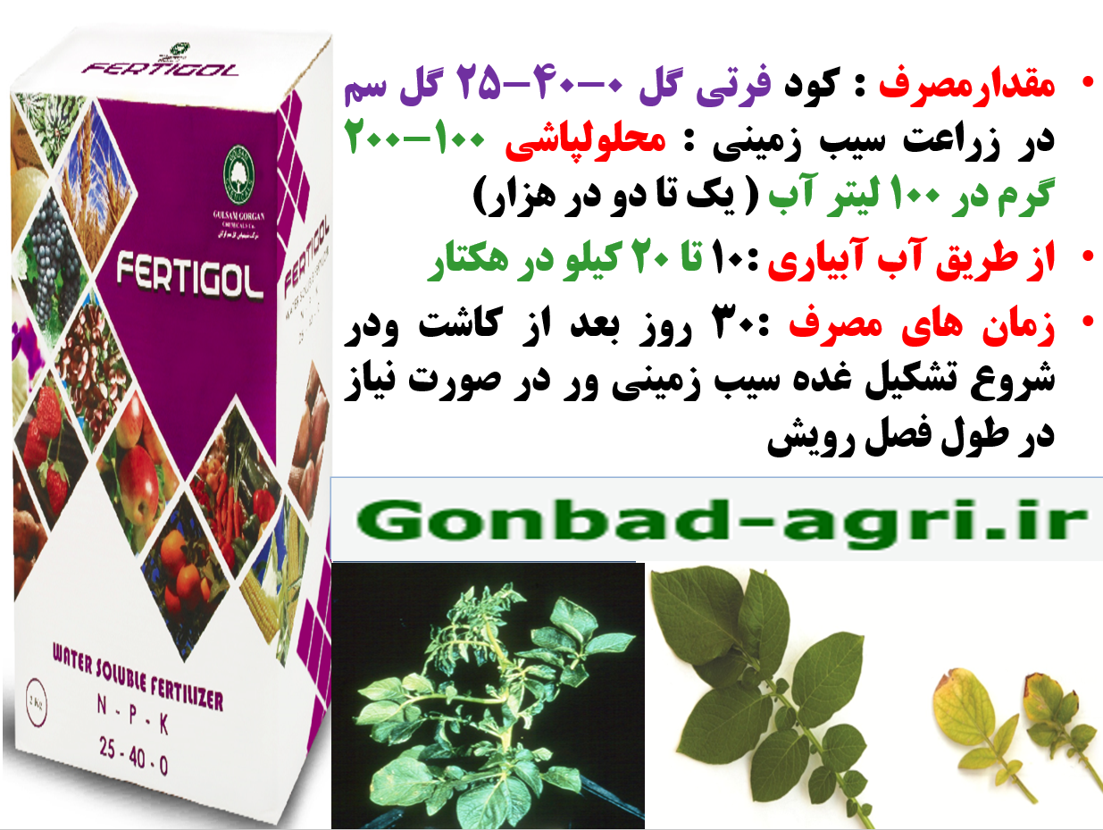کاربرد کود فرتی گل ۰-۴۰-۲۵ گل سم در زراعت سیب زمینی – قسمت دوم 518