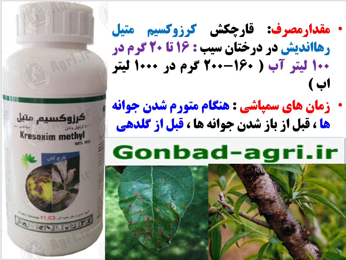 کنترل بیماری های درخت سیب با کرزوکسیم متیل رهااندیش – قسمت دوم 521