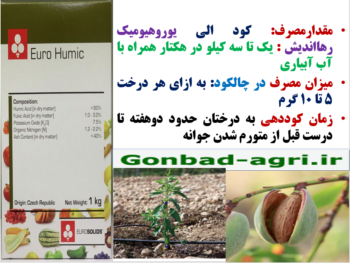 اهمیت مصرف کود الی یوروهیومیک رهااندیش در شروع رشد جدید درخت بادام – قسمت دوم 530
