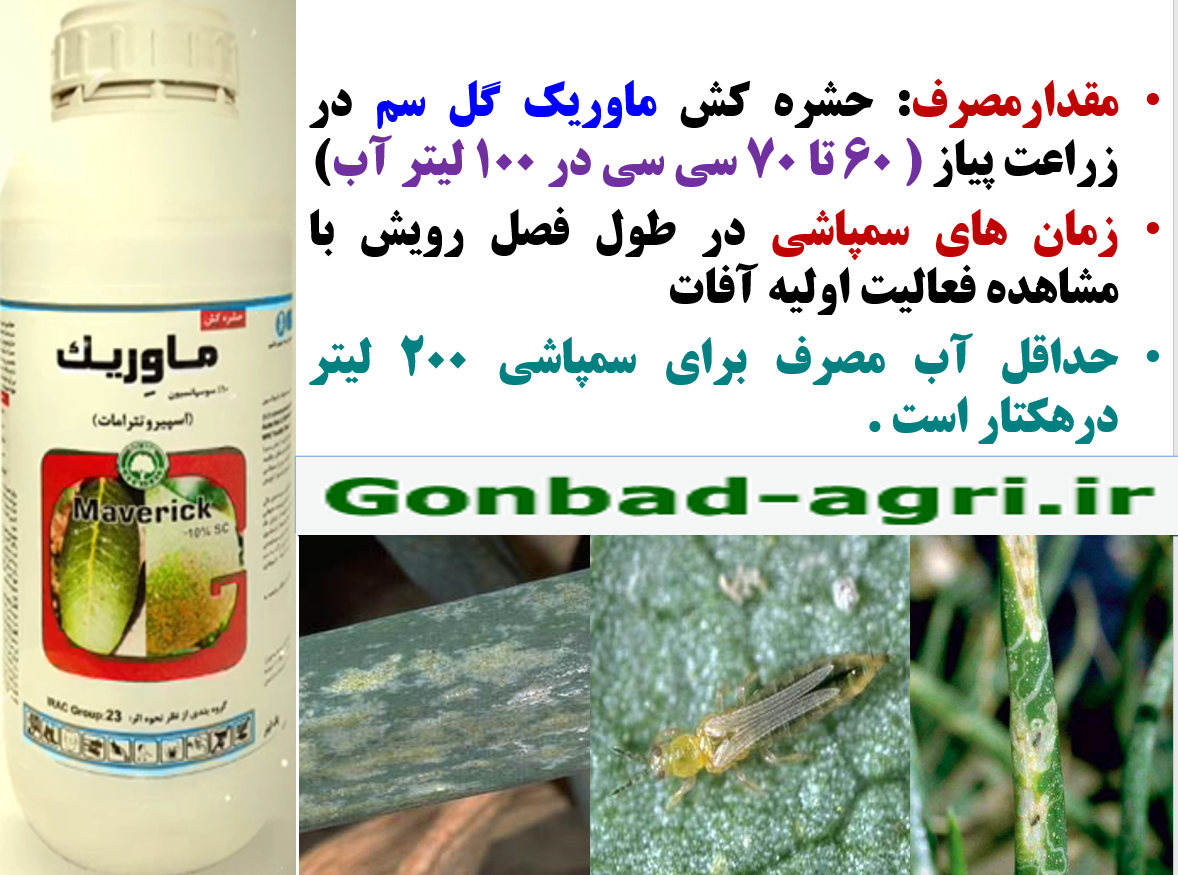 کنترل آفات مهم پیاز با حشره کش ماوریک گل سم – قسمت دوم 512