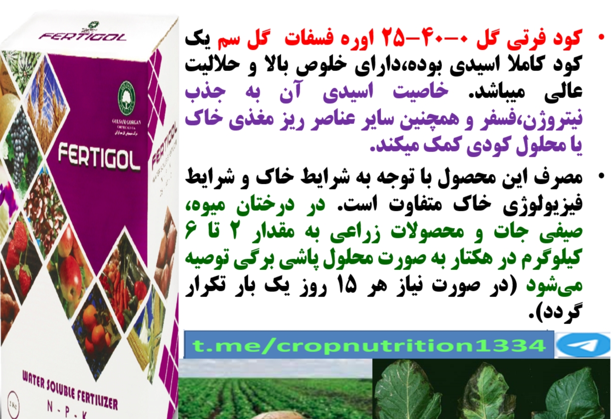 کاربرد کود فرتی گل ۰-۴۰-۲۵ گل سم در زراعت سیب زمینی – قسمت سوم 517