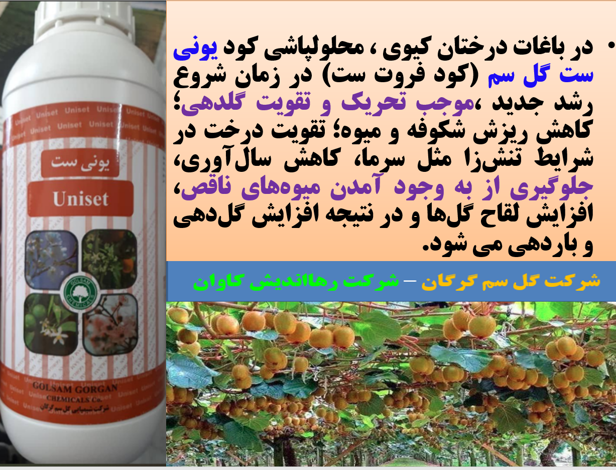 کودفروت ست، یونی ست گل سم برای افزایش میوه دهی درختان کیوی - قسمت اول 504
