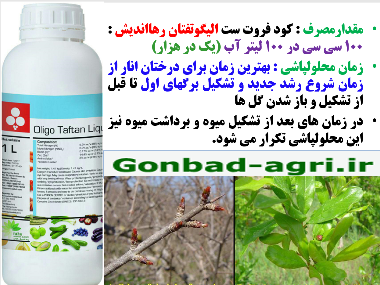 کود مایع الیگوتفتان رهااندیش کود فروت ست درختان انار- قسمت دوم 500