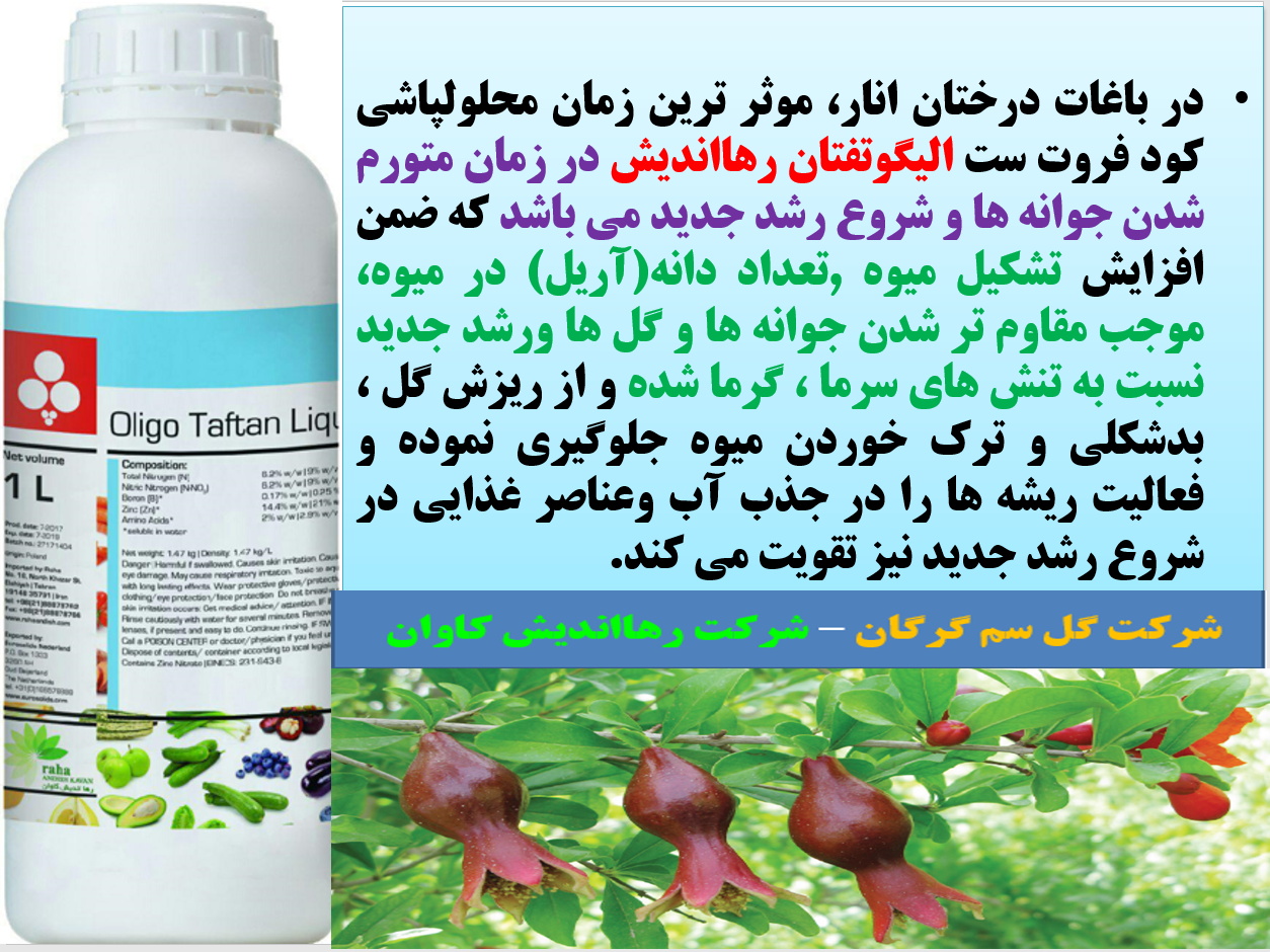کود مایع الیگوتفتان رهااندیش کود فروت ست درختان انار- قسمت اول 501