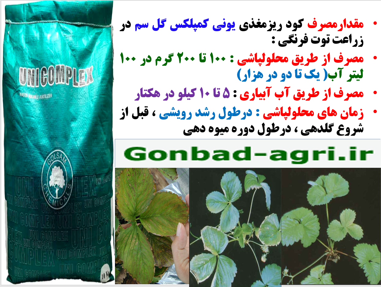 افزایش تولید و کیفیت میوه توت فرنگی با کود یونی کمپلکس گل سم – قسمت دوم 458