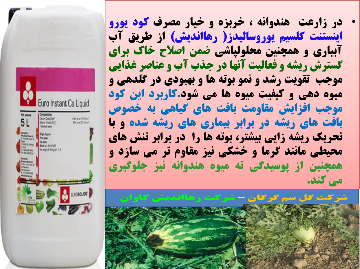 کود یورو اینستنت کلسیم رهااندیش برای تقویت ریشه زایی و میوه دهی بوته های هندوانه -قسمت اول 429
