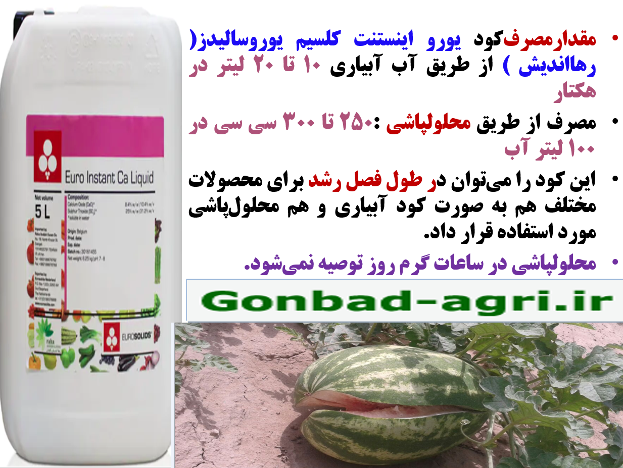 کود یورو اینستنت کلسیم رهااندیش برای تقویت ریشه زایی و میوه دهی بوته های هندوانه -قسمت دوم 428