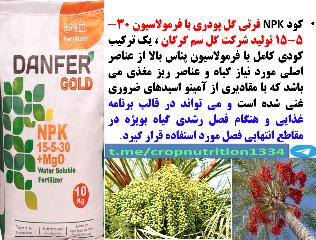 تقویت میوه دهی نخل های خرما با کود فرتی گل ۳۰-۵-۱۵ – قسمت سوم 481