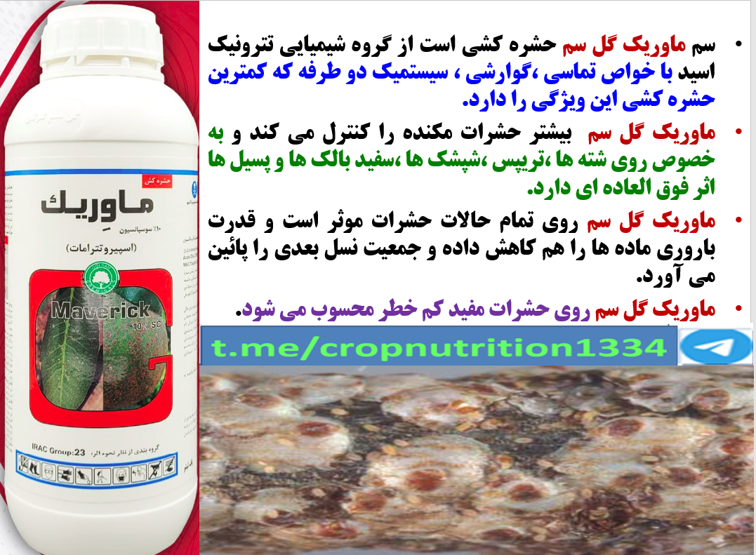 کنترل شپشک سفید درختان هلو با حشره کش موثر ماوریک گل سم- قسمت سوم 472