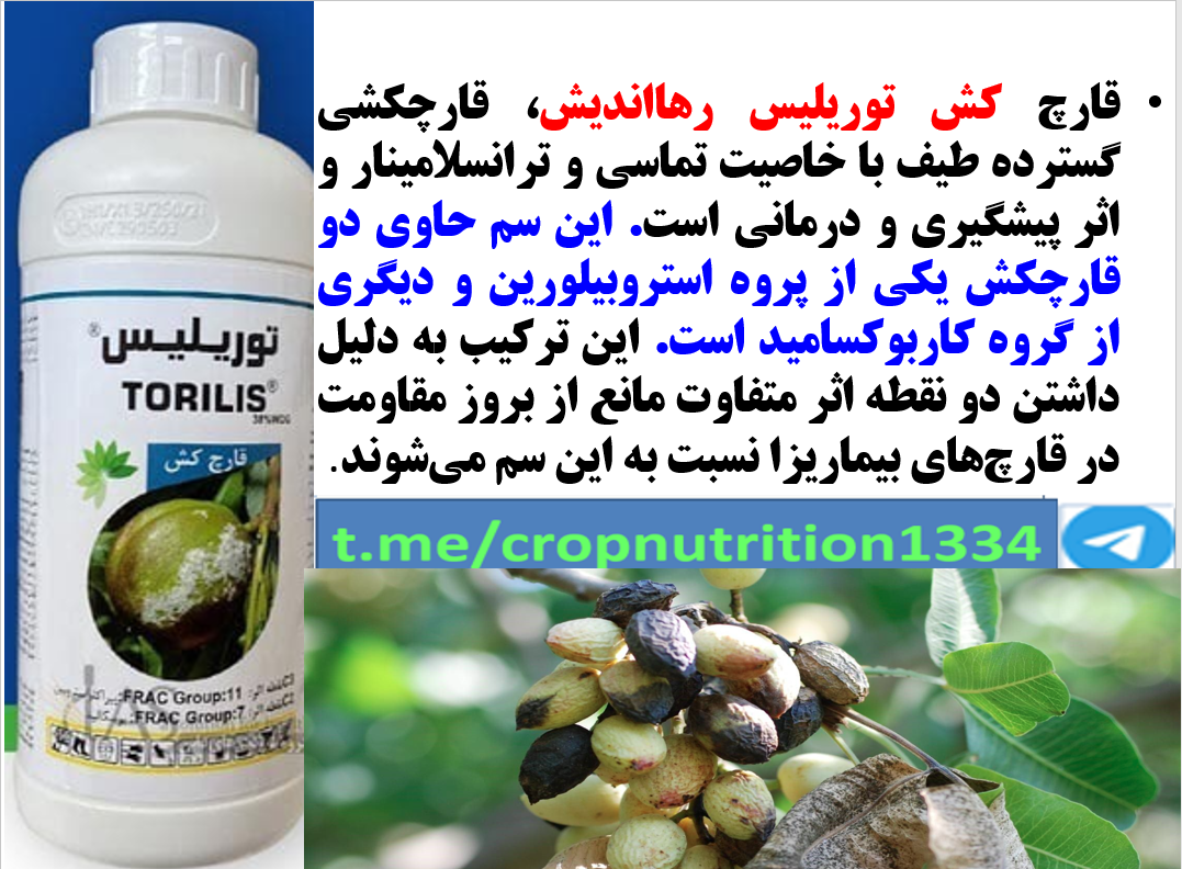 قارچکش توریلیس رهااندیش برای کنترل بیماری شانکر قارچی درختان پسته – قسمت سوم 466