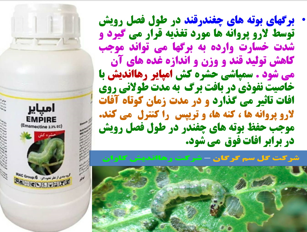 حشره کش امپایر رهااندیش برای کنترل کرم های برگخوار چغندر قند - قسمت اول 462