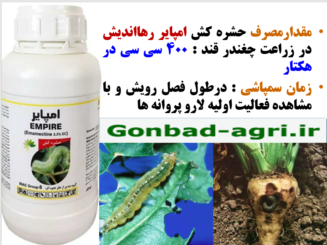 حشره کش امپایر رهااندیش برای کنترل کرم های برگخوار چغندر قند – قسمت دوم 461