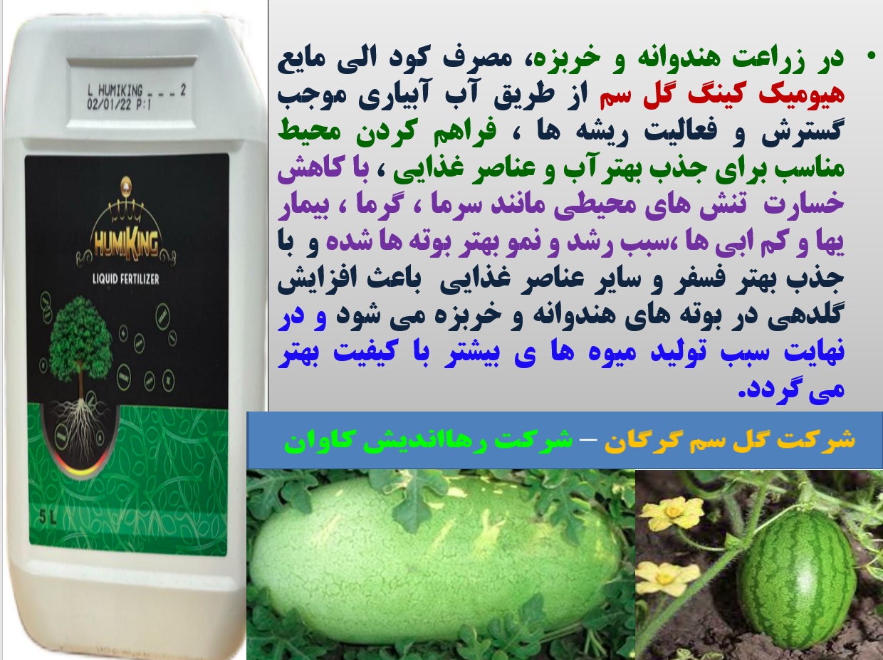 تقویت فعالیت و گسترش ریشه ها با اصلاح خاک توسط هیومیک کینگ گل سم - قسمت اول 441
