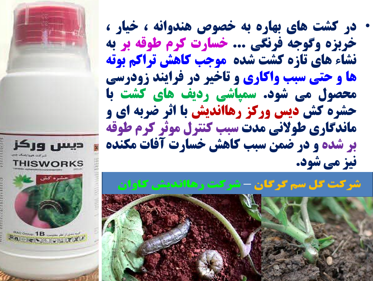 حشره کش دیس ورکز رهااندیش برای کنترل لارو پروانه ها به خصوص کرم طوقه بر-قسمت اول 435
